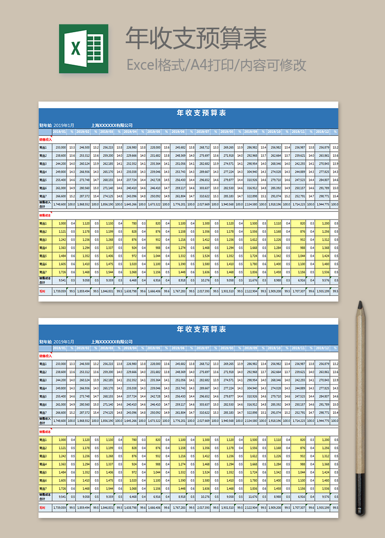 年收支预算表