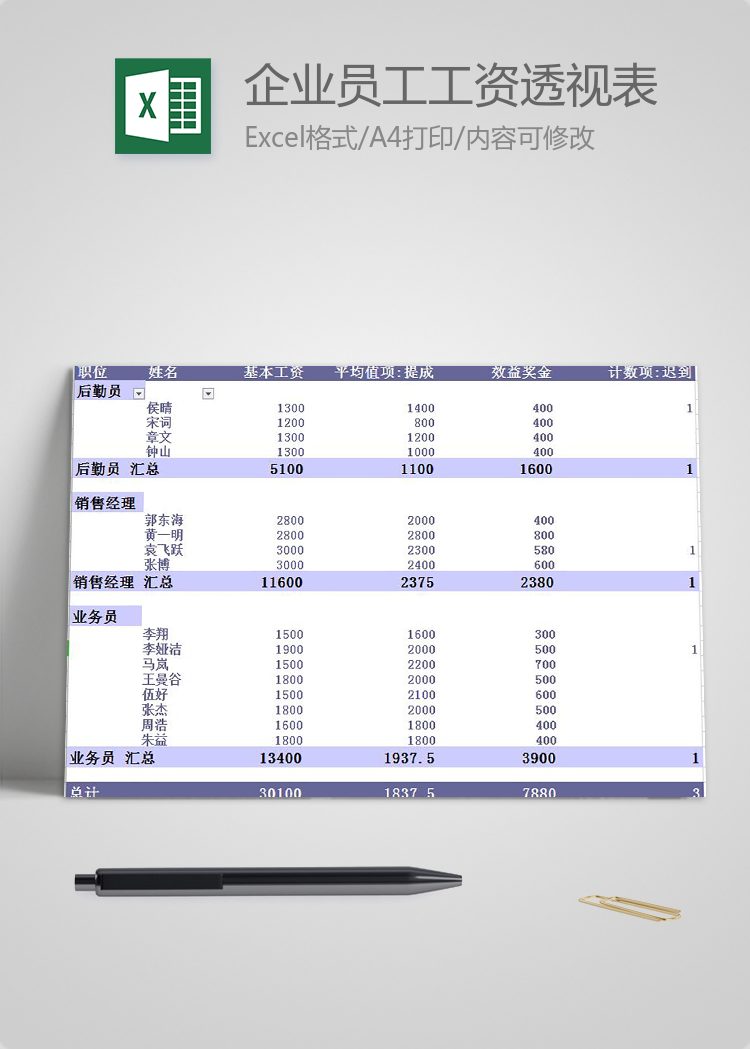 企业员工工资透视表模板