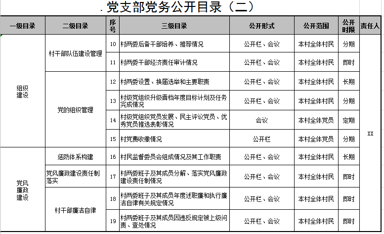 党支部党务公开目录excel模板