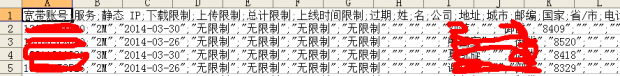 radius中导出的CSV文件转换成Excel文件（3）