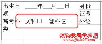 Excel2003打钩方框的制作实例教程