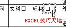 Excel2003打钩方框的制作实例教程（8）