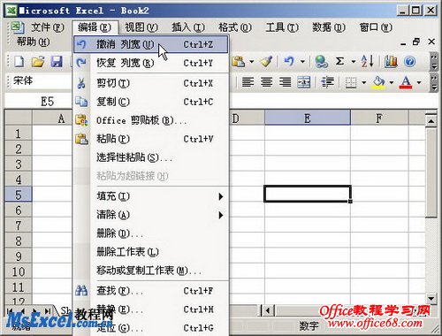 Excel2003撤销功能的使用基础教程（2）