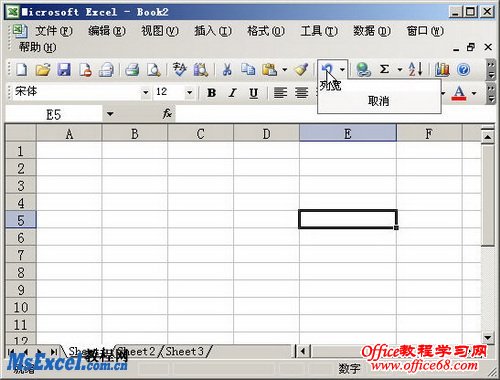 Excel2003撤销功能的使用基础教程（4）